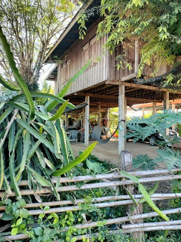 ขายด่วน! (บ้าน 2 ชั้น/ใต้ถุนโล่ง) พร้อมที่ดิน ติดถนนดำ อำเภอลาดยาว นครสวรรค์ โทร 092-6869618